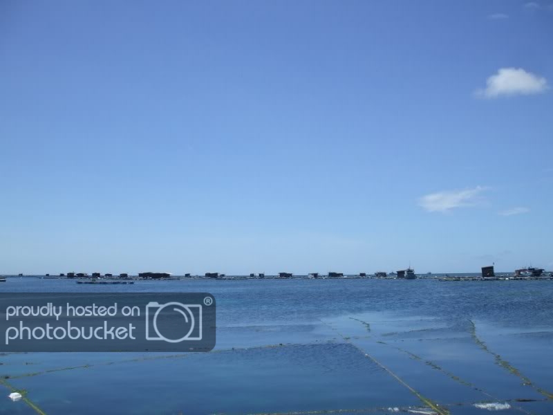 DSCF7623.jpg