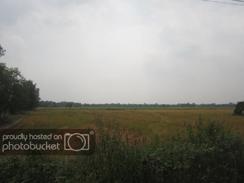 IMG_0729_zpsd67c0533.jpg