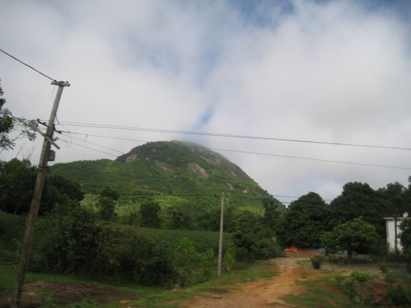 IMG_1872.jpg