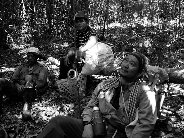 P1050264.jpg