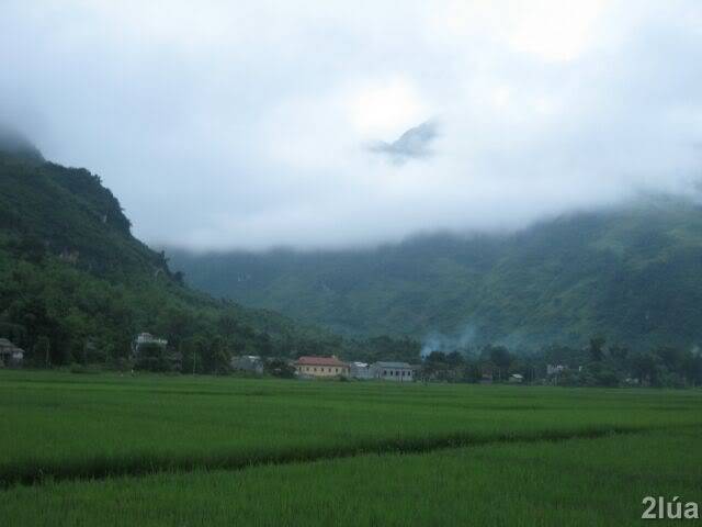 IMG_1063.jpg