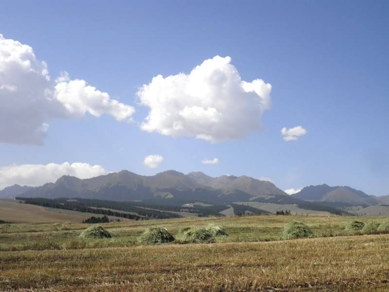 P9021869.jpg
