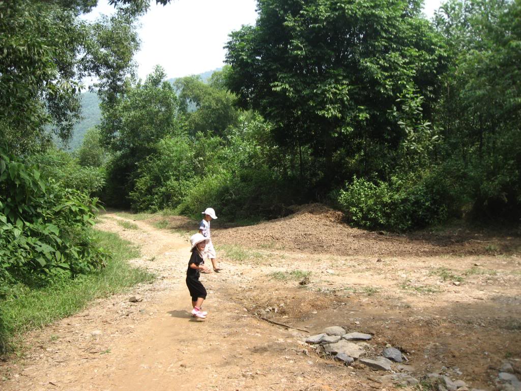 IMG_0524.jpg