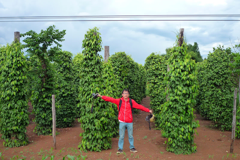 P1050487.jpg