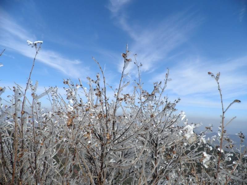 PA250087.jpg