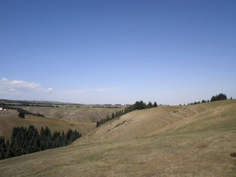 P9021891.jpg