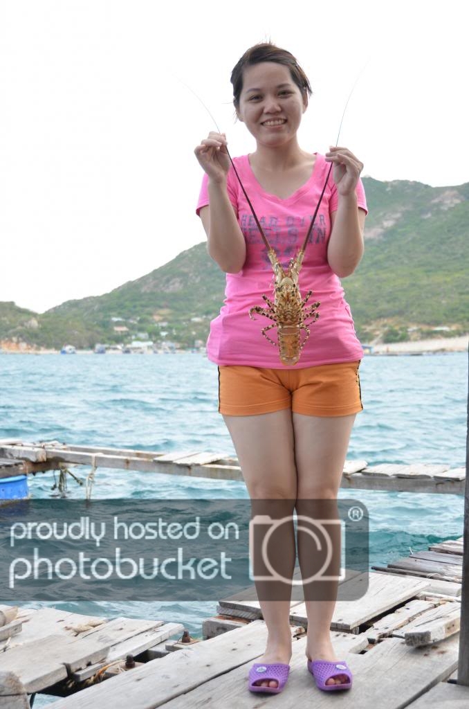 DSC_2651_zps57d6c229.jpg