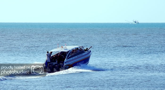 DSC_6644_resize.jpg