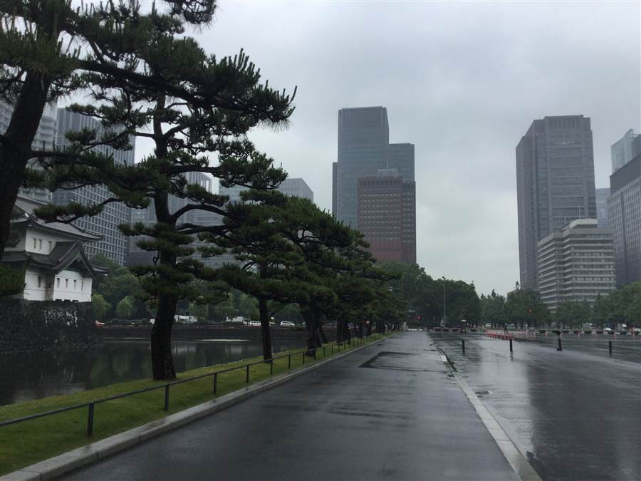 resized_IMG_0271_zpsqyvsa9wj.jpg