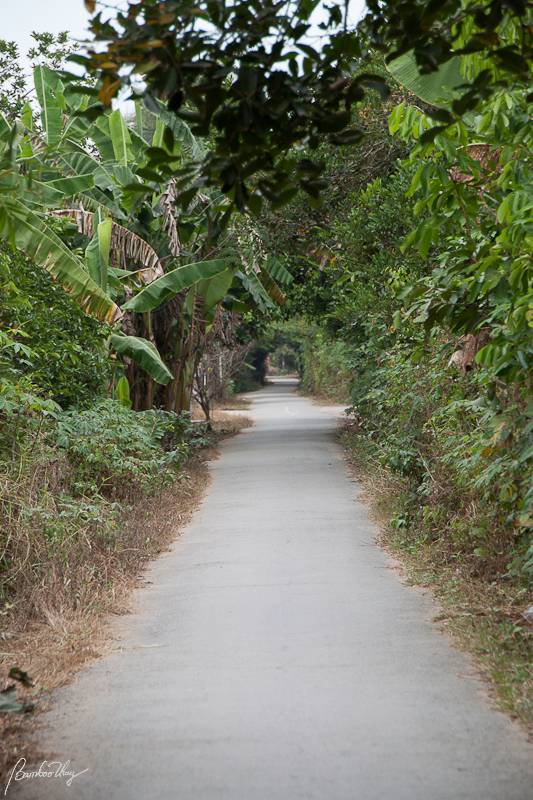 BenTre-7242.jpg