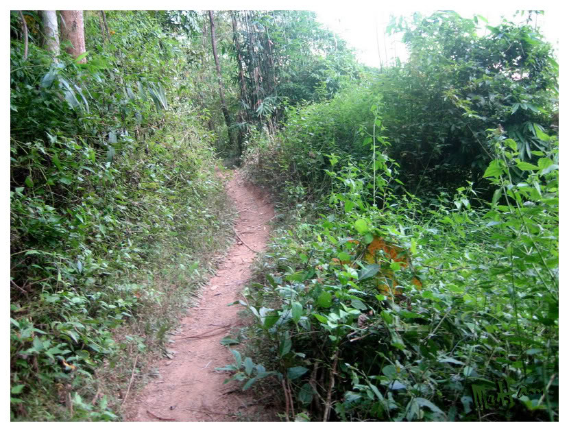 Duongdi04.jpg