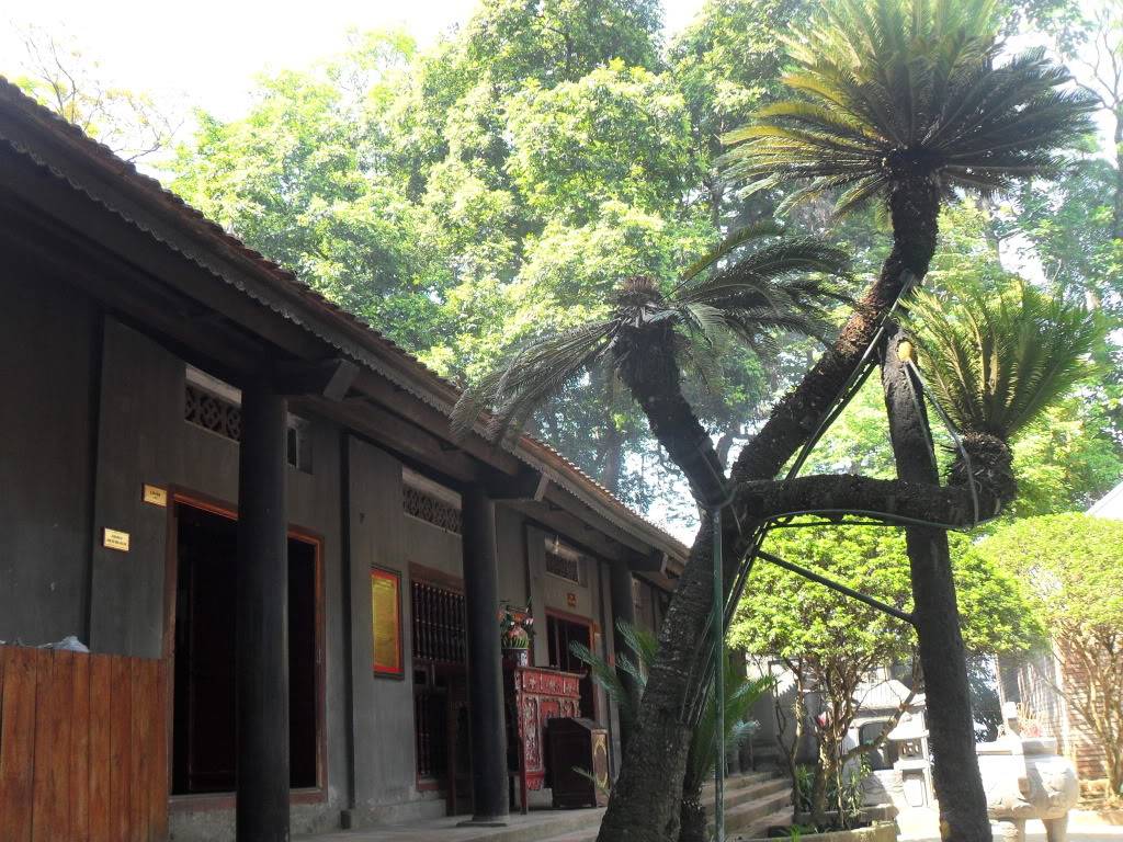 SDC14666.jpg