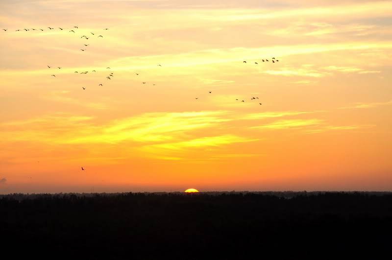 DSC_4095_resize.jpg