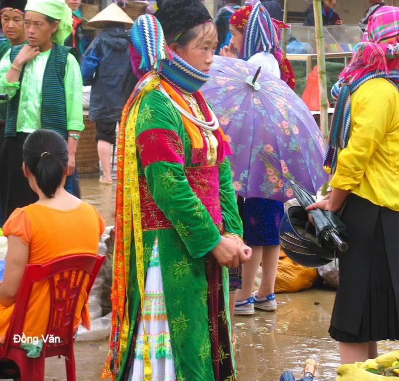 ngVn-0091024x768.jpg