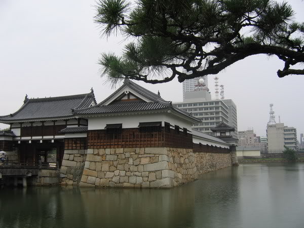 IMG_0854_resize.jpg