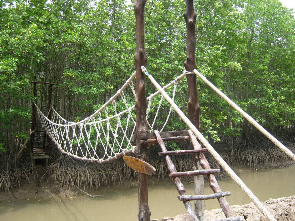 IMG_8735.jpg