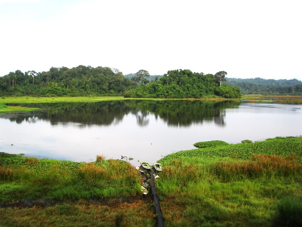 P7050157.jpg