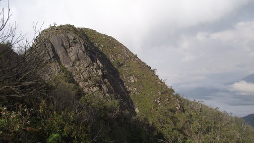DSCF0520.JPG