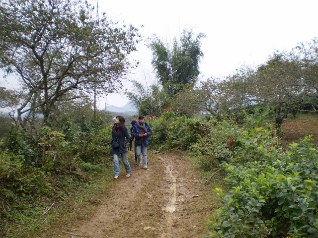 PC180014.JPG