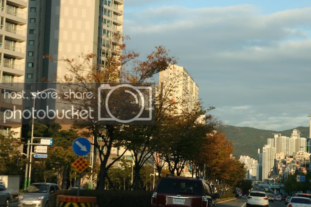 IMG_9745.jpg