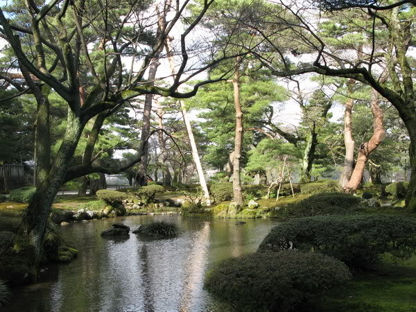 IMG_1872_resize.jpg