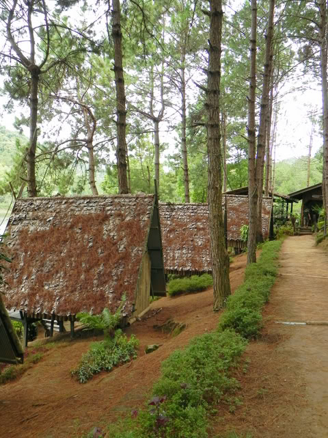 DSCN1453.jpg
