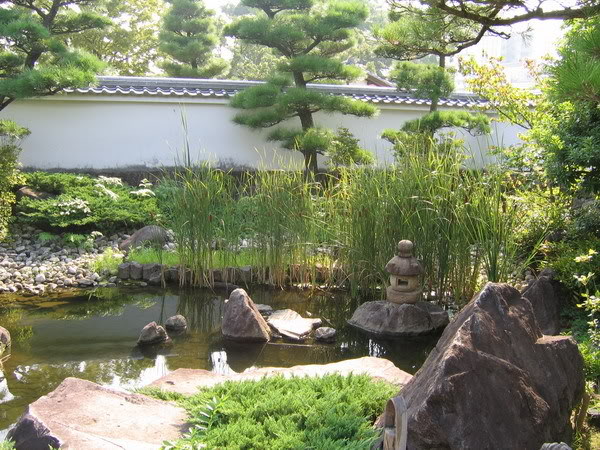 IMG_0610_resize.jpg