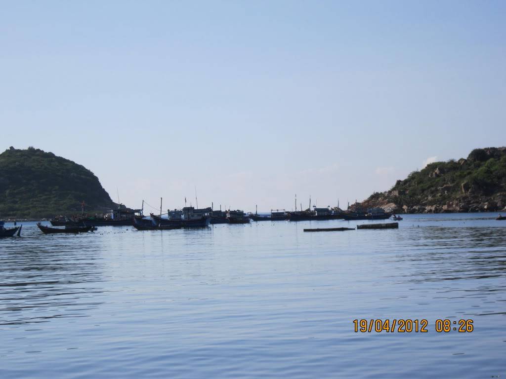 IMG_5067.jpg