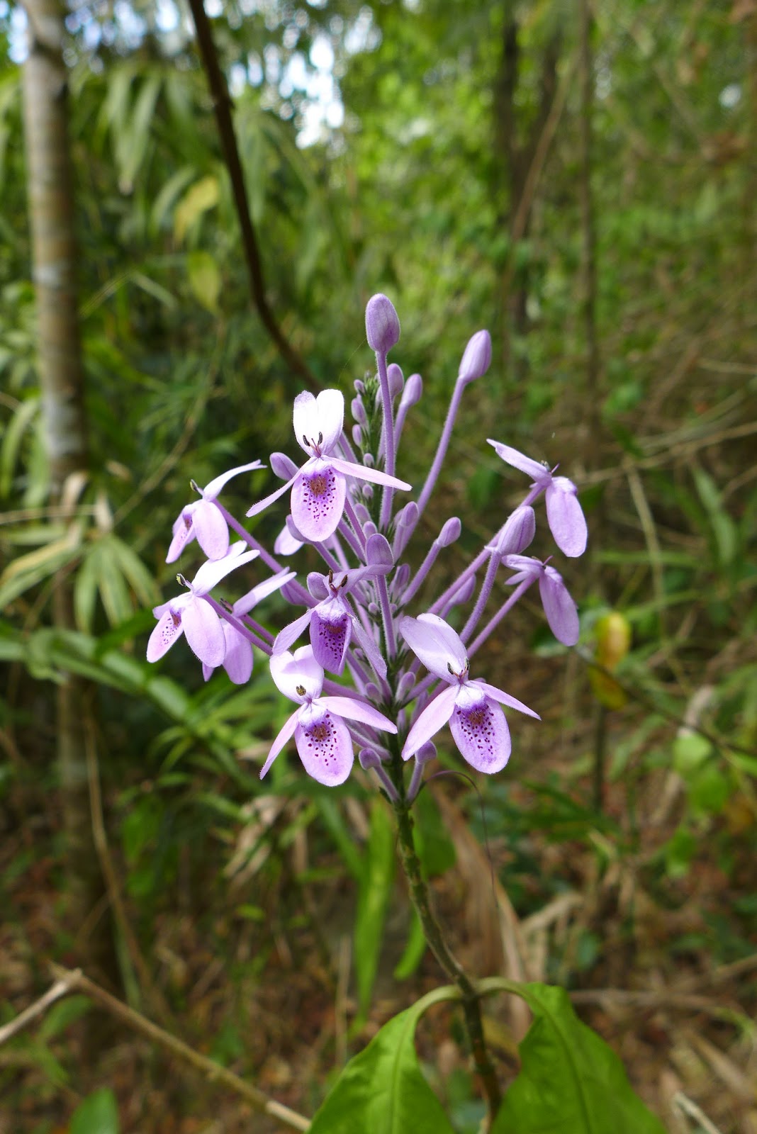 P1000678.JPG