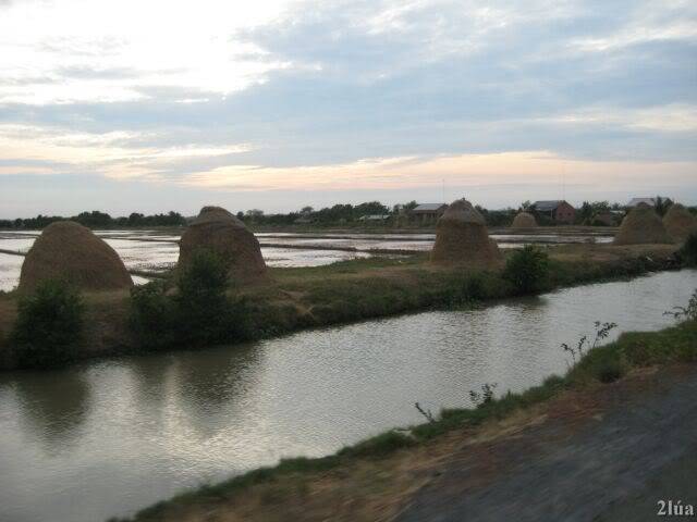 IMG_0718.jpg