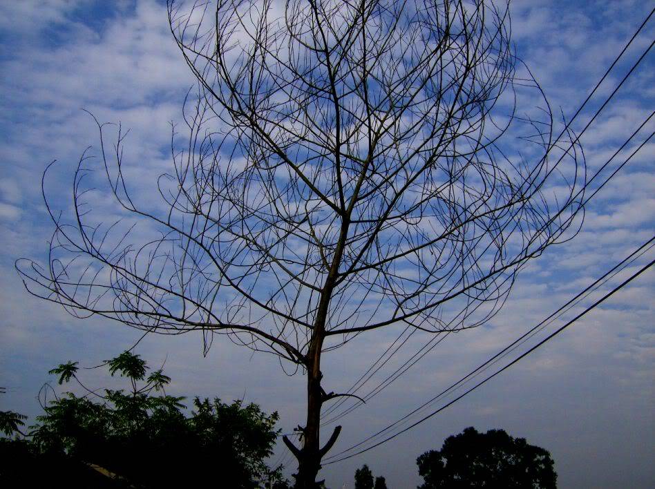 phpNyyAyTAM.jpg