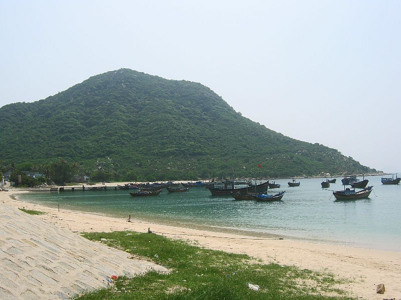 IMG_7974.jpg