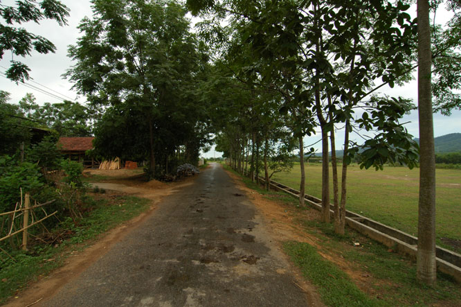 DSC_3995.jpg