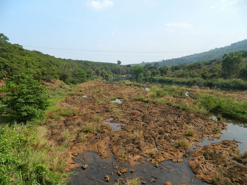 DSCN3590.jpg