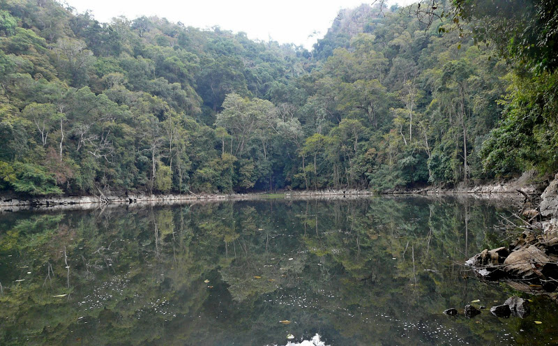 P1050569.JPG