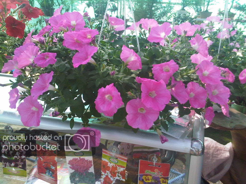 IMG-20111122-00164.jpg