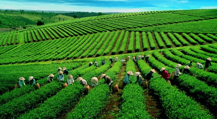 Du lịch Thái Nguyên - địa điểm du lịch mát mẻ với khí hậu trong lành