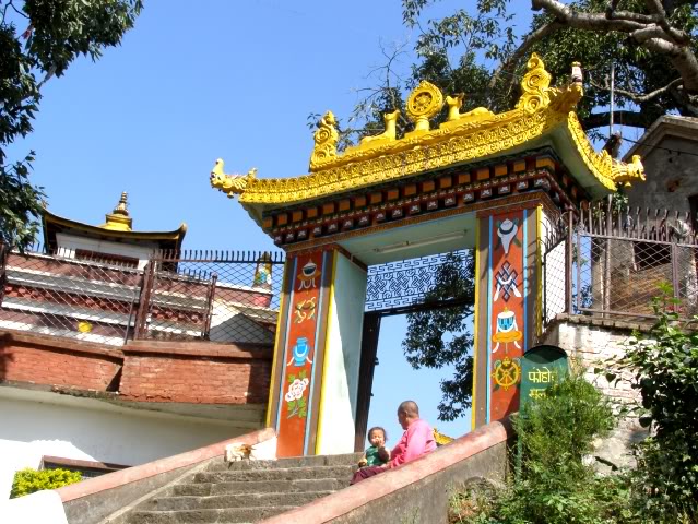 PA280727.jpg