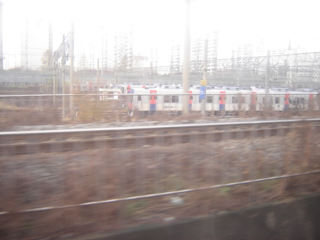 DSC08309.jpg
