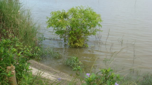 DSC05710.jpg