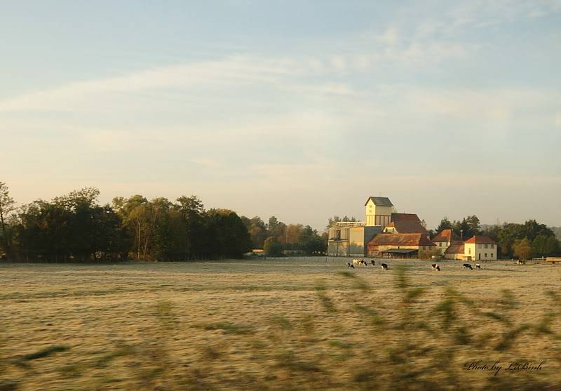 DSC_6323_7777.jpg
