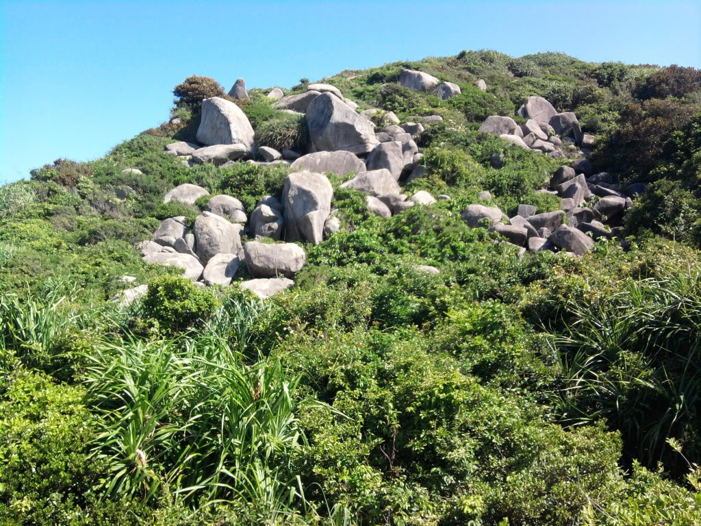 2011-07-16145317.jpg