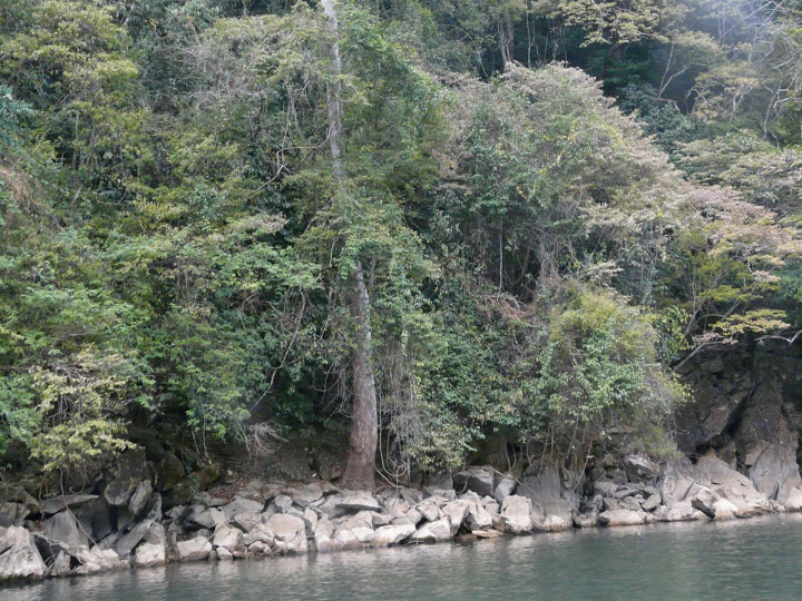 P1050543.JPG