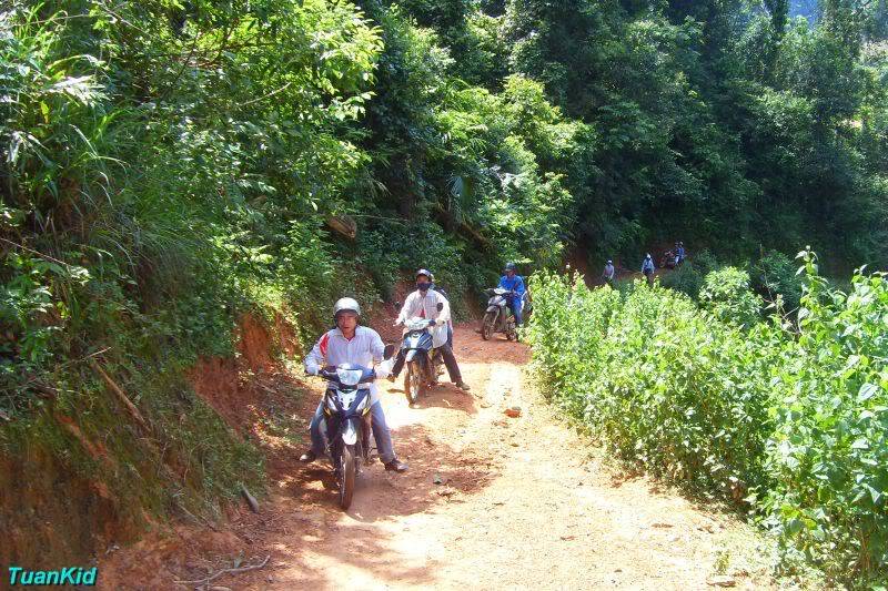 SDC12668.jpg
