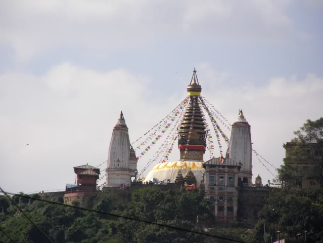PA280737.jpg