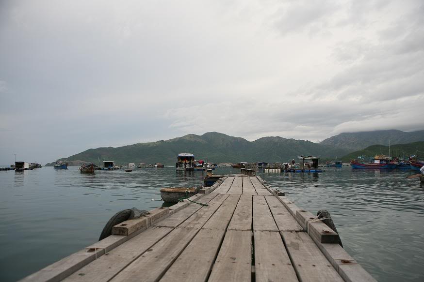 NT02.jpg