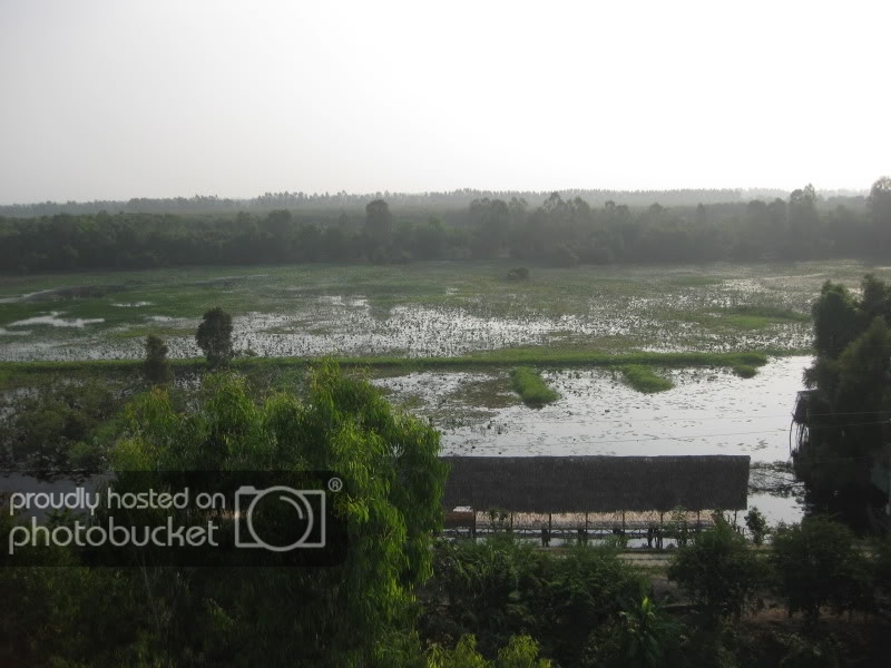 DongThapTET2011292.jpg