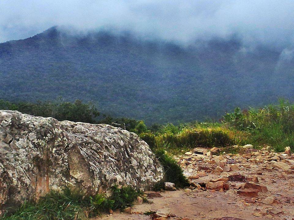 WalkingwayBokor2_zps701e2ef2.jpg