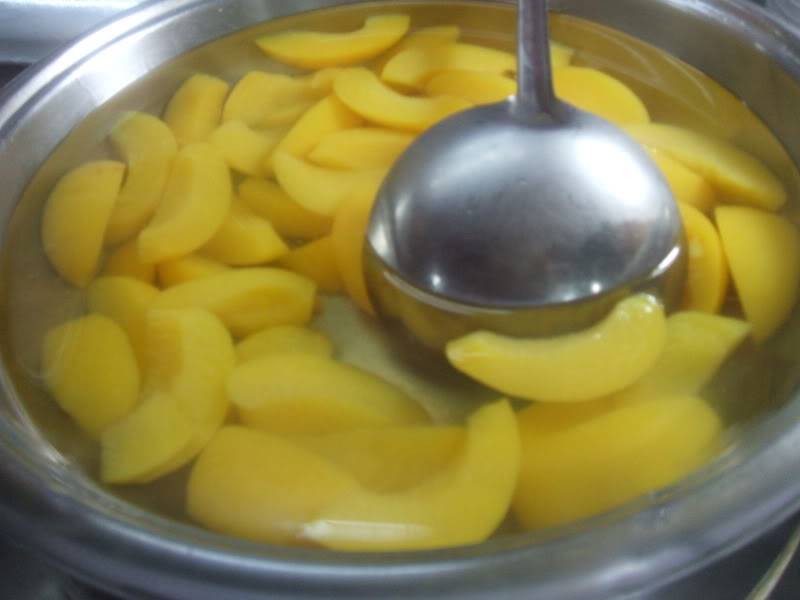 DSCF8181.jpg