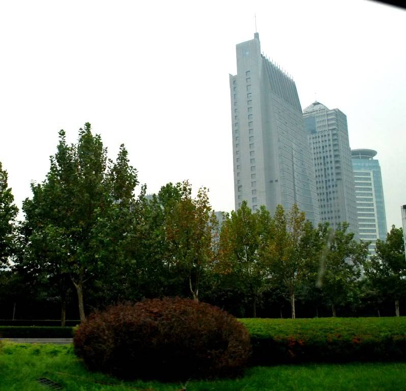 DSC_9114.jpg